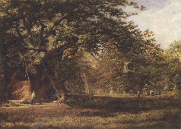 Alfred wilson cox The Woodmans'Bower,Birkland,Sherwood Forest (mk37) Germany oil painting art